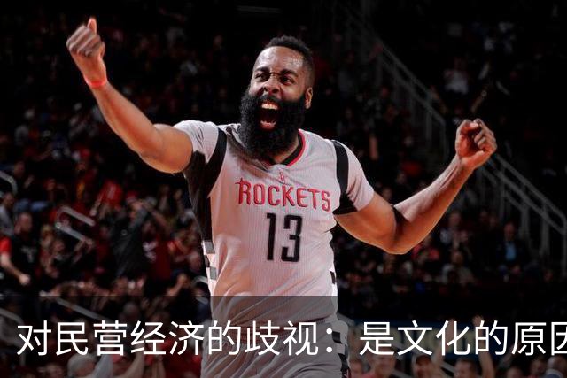 对民营经济的歧视：是文化的原因，还是意识形态的推动